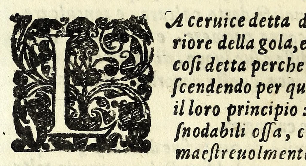 An illustration from L'arte de' cenni : con la quale formandosi fauella visibile, si tratta della muta eloquenza, che non e' altro che vn facondo silentio : diuisa in due parti ..., 1616, leaf 450