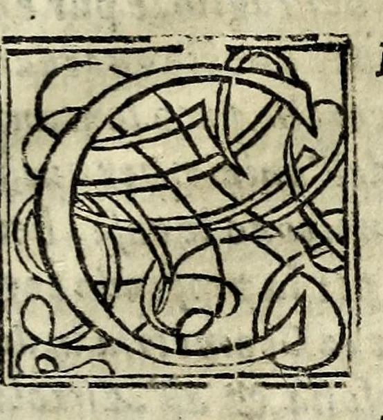 An illustration from L'arte de' cenni : con la quale formandosi fauella visibile, si tratta della muta eloquenza, che non e' altro che vn facondo silentio : diuisa in due parti ..., 1616, leaf 559
