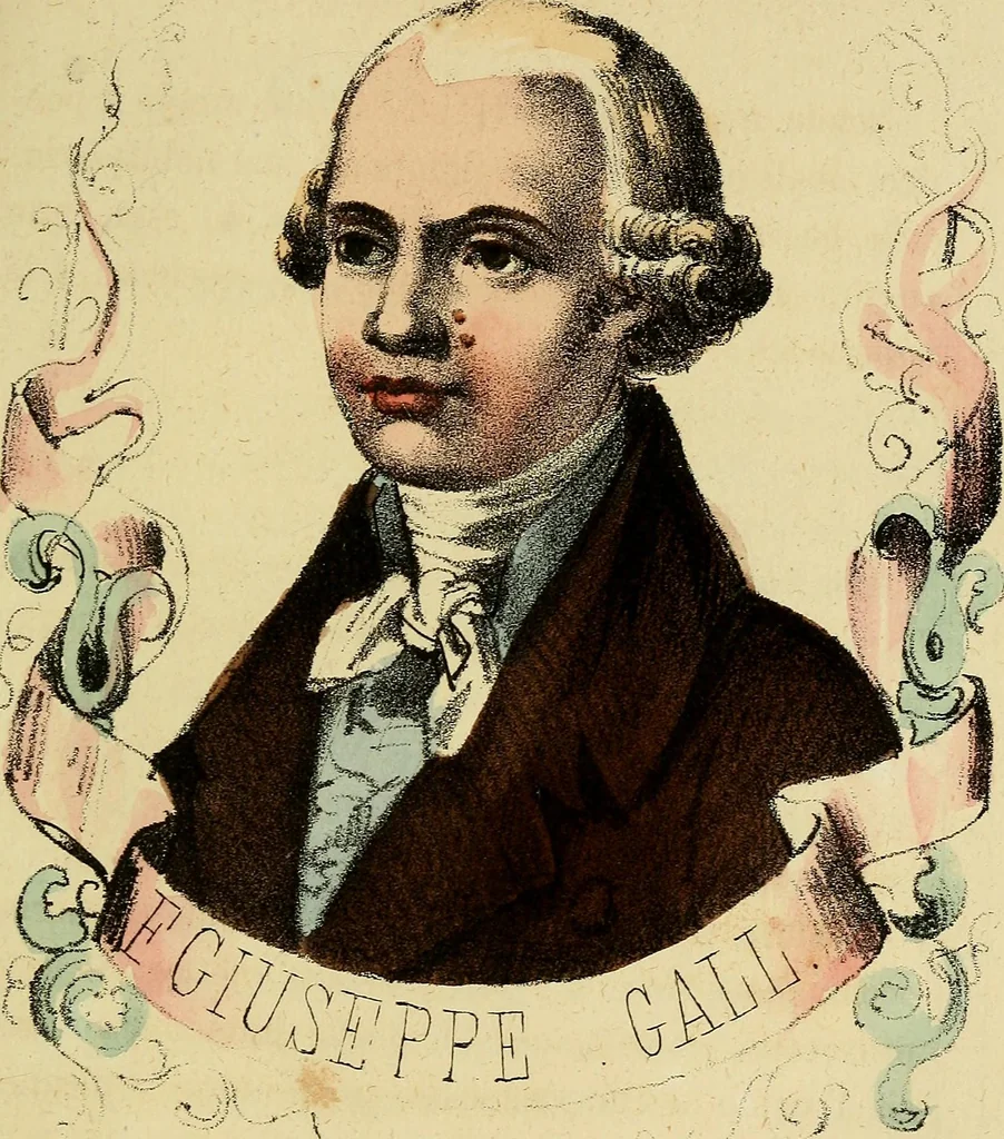 An illustration from L'arte de conoscere gli uomini : il piccolo Lavater e Dottor Gall, 1865, leaf 156