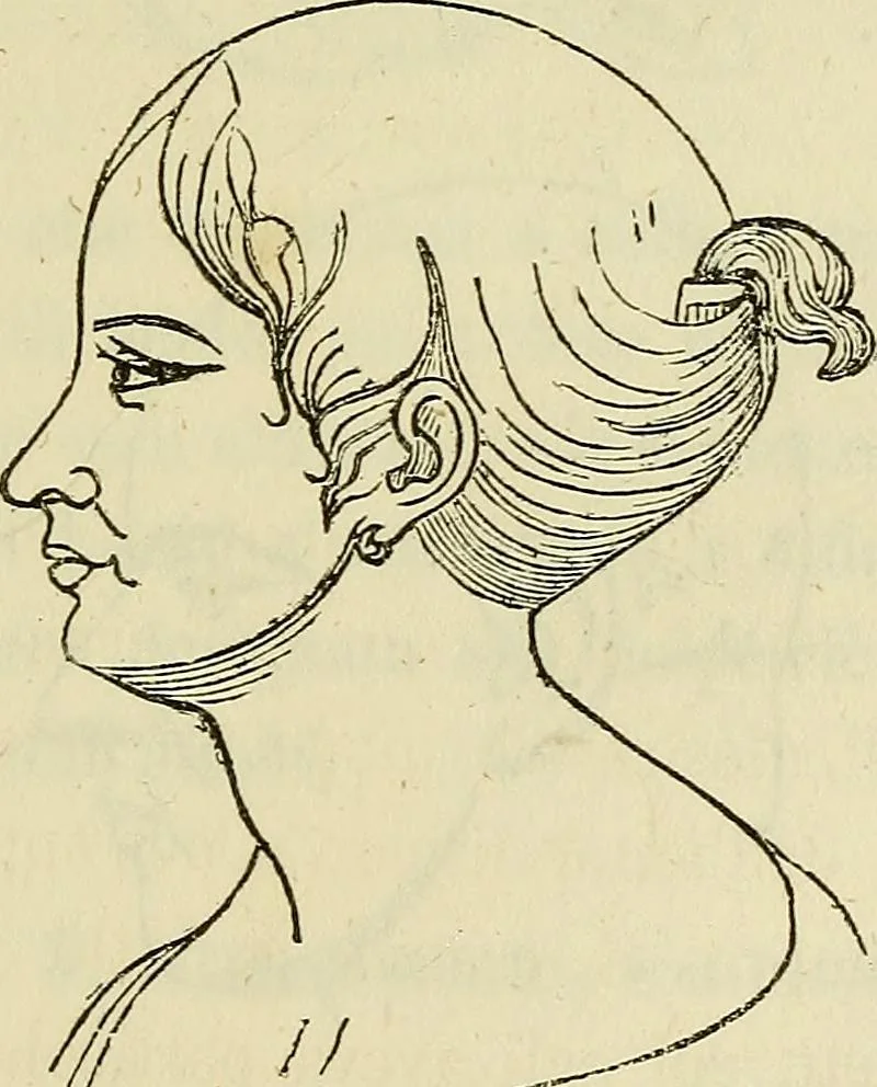 An illustration from L'arte de conoscere gli uomini : il piccolo Lavater e Dottor Gall, 1865, leaf 186