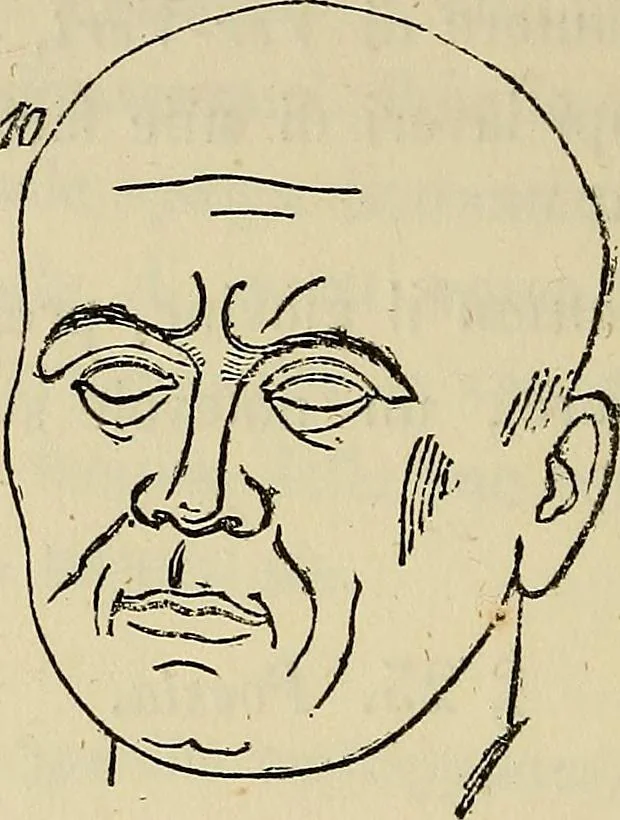 An illustration from L'arte de conoscere gli uomini : il piccolo Lavater e Dottor Gall, 1865, leaf 215