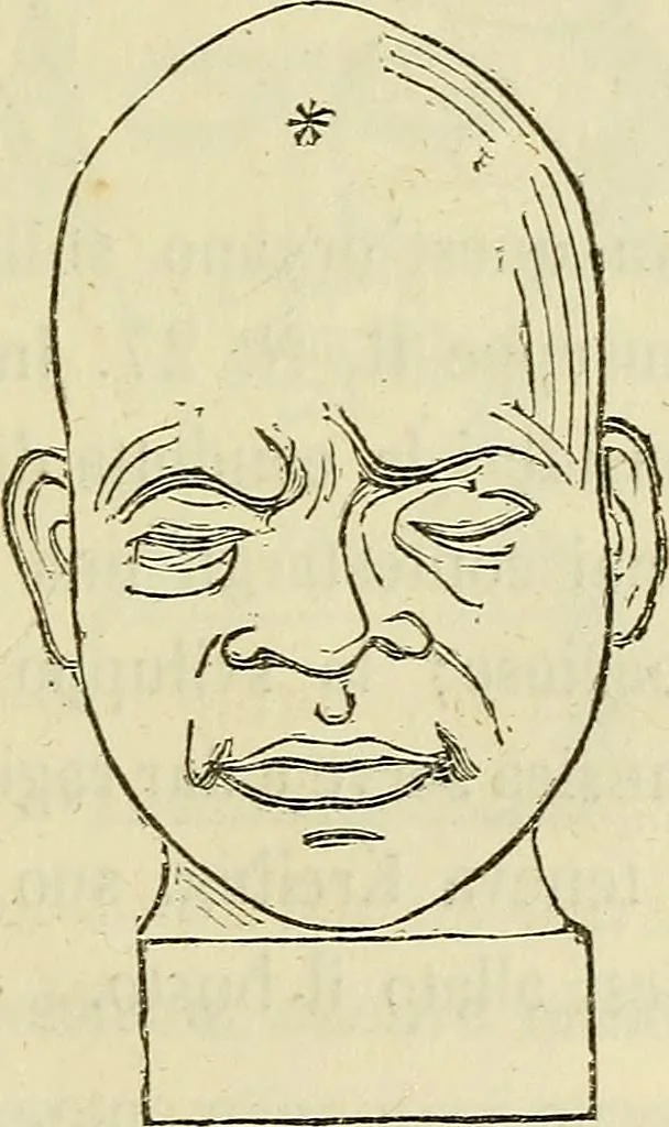 An illustration from L'arte de conoscere gli uomini : il piccolo Lavater e Dottor Gall, 1865, leaf 216
