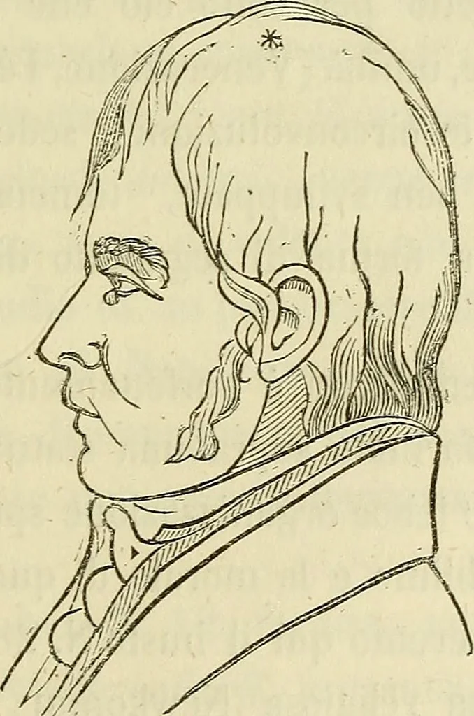 An illustration from L'arte de conoscere gli uomini : il piccolo Lavater e Dottor Gall, 1865, leaf 220