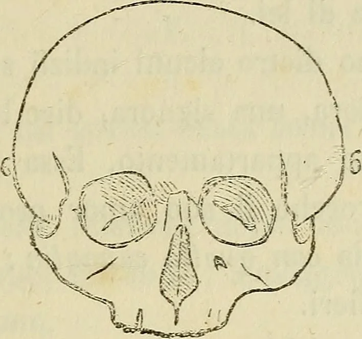 An illustration from L'arte de conoscere gli uomini : il piccolo Lavater e Dottor Gall, 1865, leaf 240