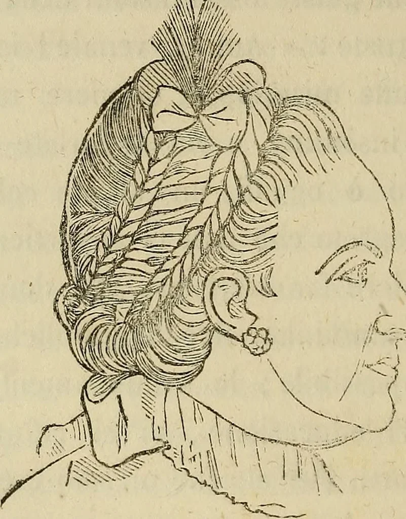 An illustration from L'arte de conoscere gli uomini : il piccolo Lavater e Dottor Gall, 1865, leaf 253