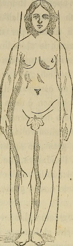 An illustration from L'arte de conoscere gli uomini : il piccolo Lavater e Dottor Gall, 1865, leaf 301