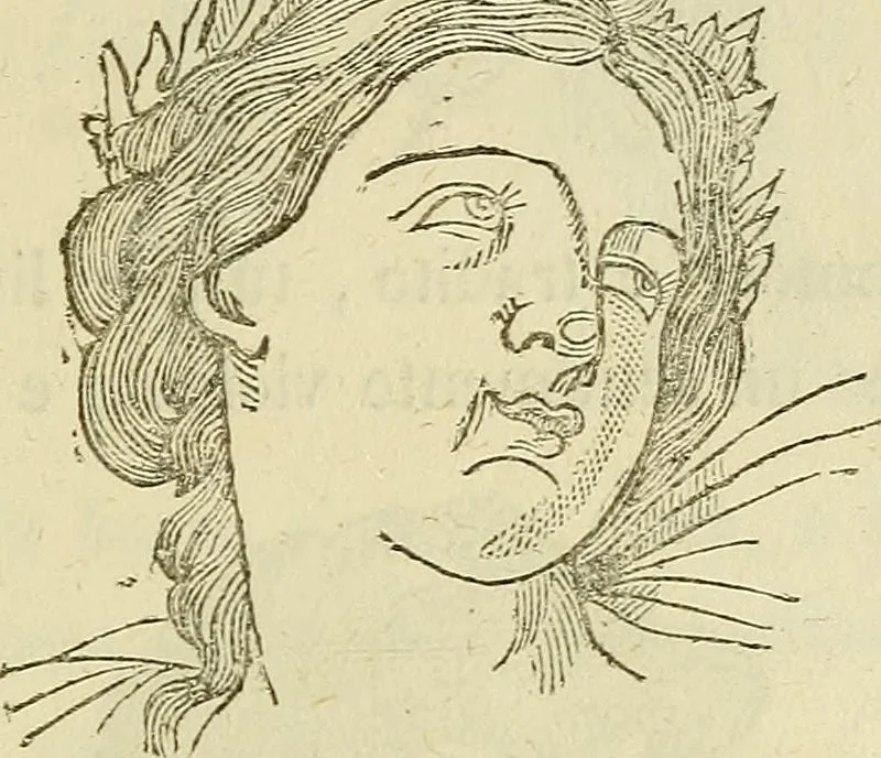 An illustration from L'arte de conoscere gli uomini : il piccolo Lavater e Dottor Gall, 1865, leaf 304