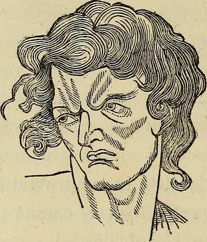An illustration from L'arte de conoscere gli uomini : il piccolo Lavater e Dottor Gall, 1865, leaf 305