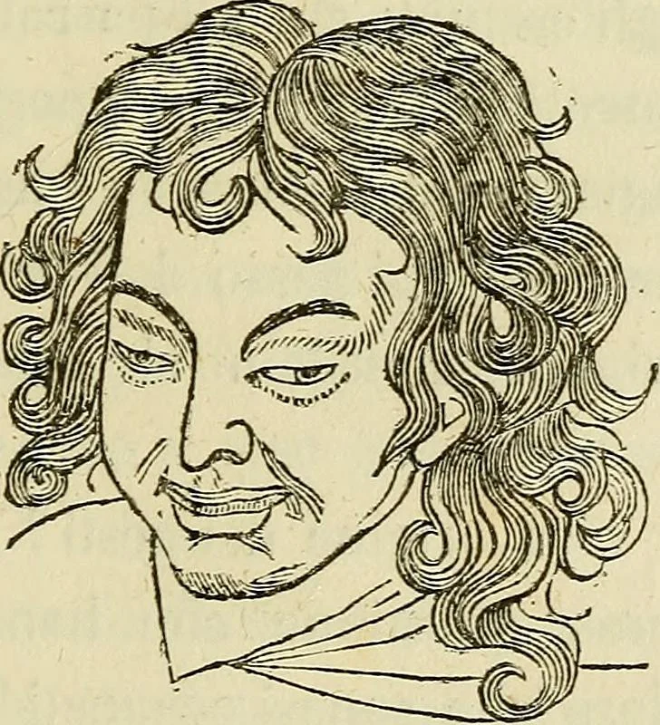 An illustration from L'arte de conoscere gli uomini : il piccolo Lavater e Dottor Gall, 1865, leaf 306