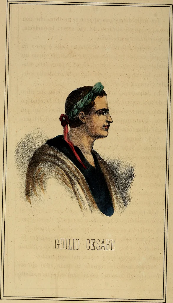 An illustration from L'arte de conoscere gli uomini : il piccolo Lavater e Dottor Gall, 1865, leaf 31