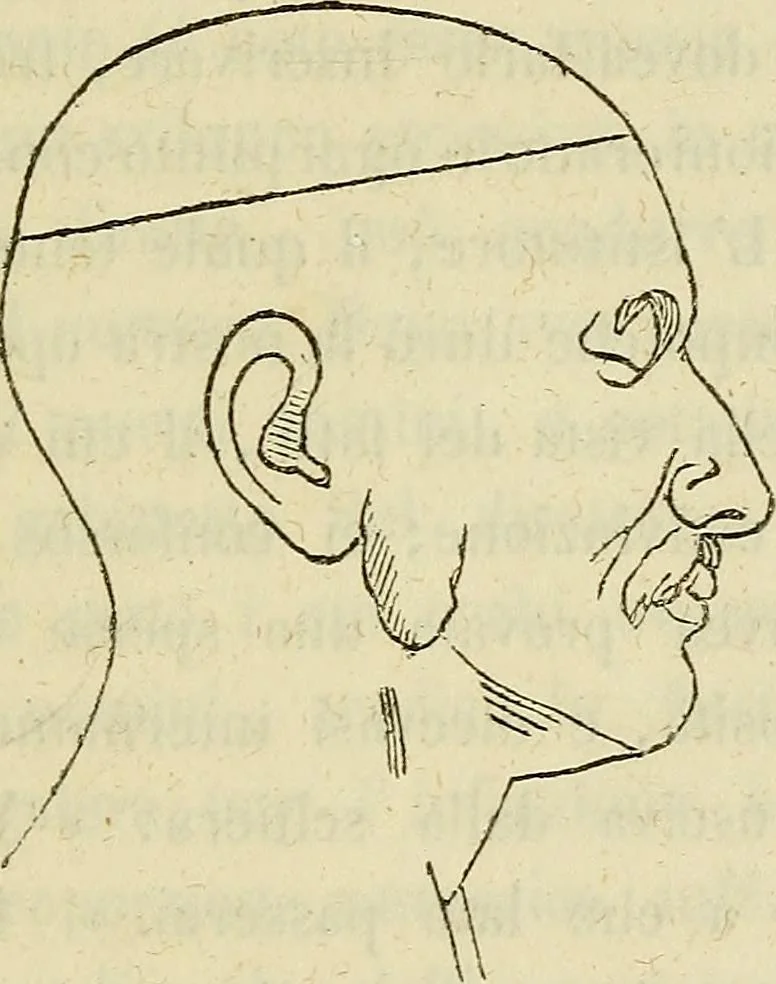 An illustration from L'arte de conoscere gli uomini : il piccolo Lavater e Dottor Gall, 1865, leaf 326