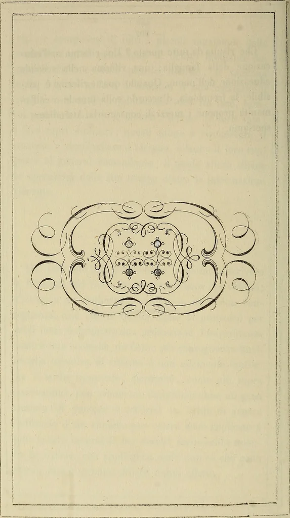 An illustration from L'arte de conoscere gli uomini : il piccolo Lavater e Dottor Gall, 1865, leaf 353