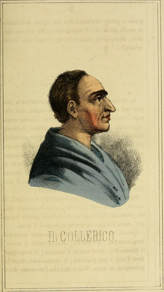 An illustration from L'arte de conoscere gli uomini : il piccolo Lavater e Dottor Gall, 1865, leaf 74