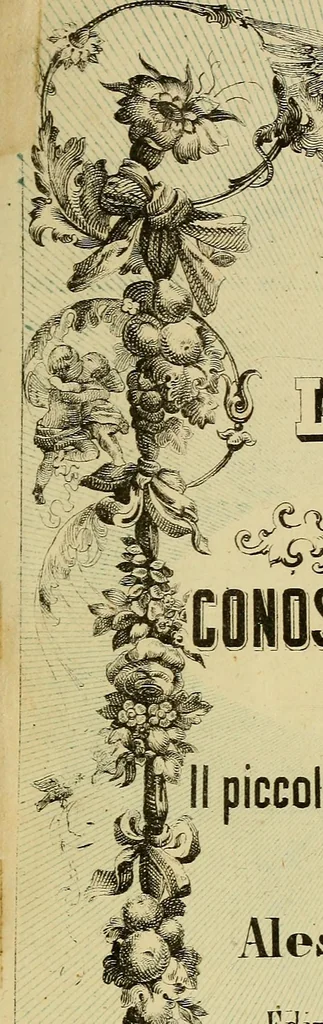 An illustration from L'arte de conoscere gli uomini : il piccolo Lavater e Dottor Gall, 1865, leaf 8