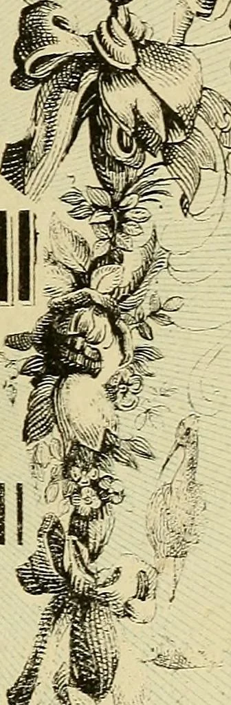 An illustration from L'arte de conoscere gli uomini : il piccolo Lavater e Dottor Gall, 1865, leaf 8