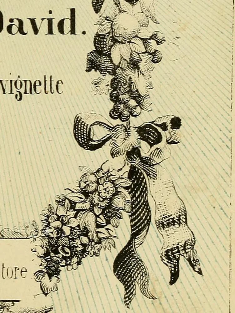 An illustration from L'arte de conoscere gli uomini : il piccolo Lavater e Dottor Gall, 1865, leaf 8
