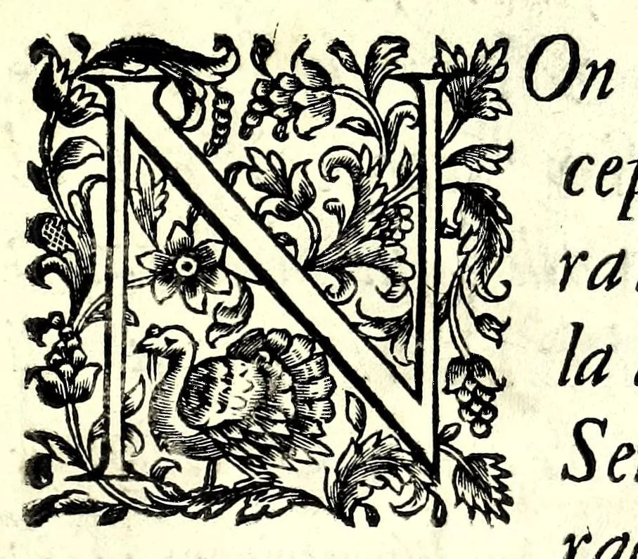 An illustration from L'arte del cavallo, 1696, leaf 13