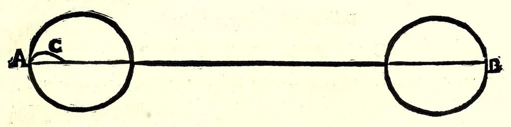 An illustration from L'arte del cavallo, 1696, leaf 151