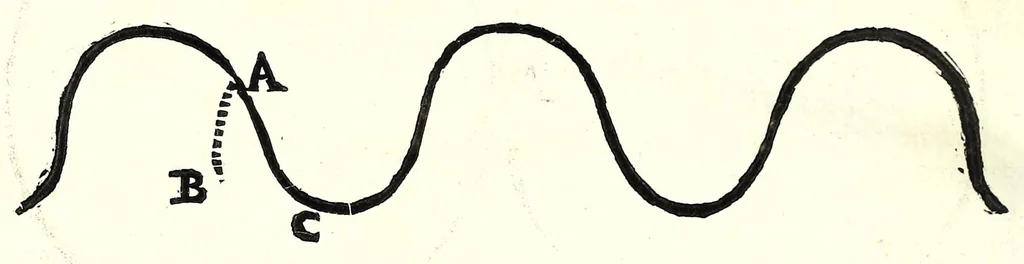 An illustration from L'arte del cavallo, 1696, leaf 160