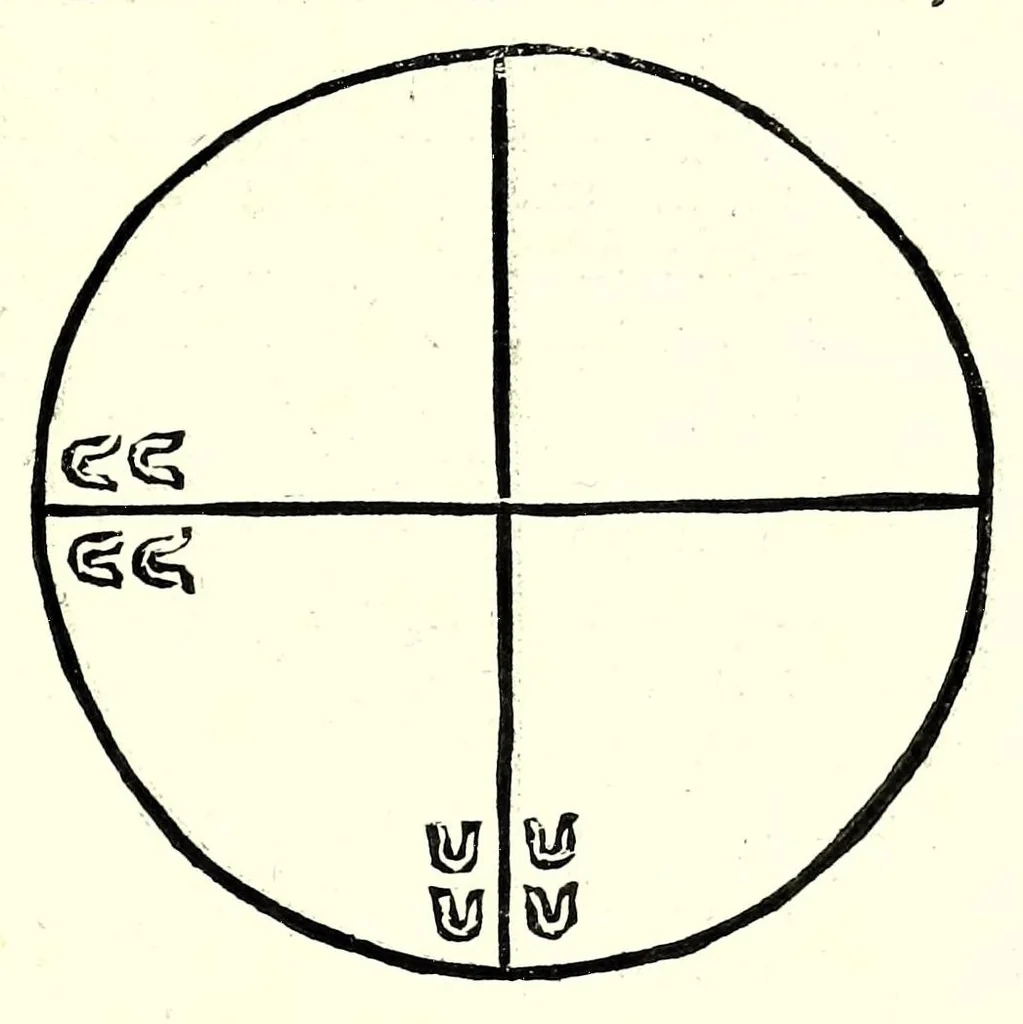 An illustration from L'arte del cavallo, 1696, leaf 163