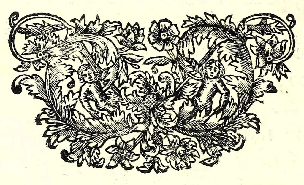An illustration from L'arte del cavallo, 1696, leaf 20