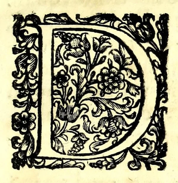 An illustration from L'arte del cavallo, 1696, leaf 21