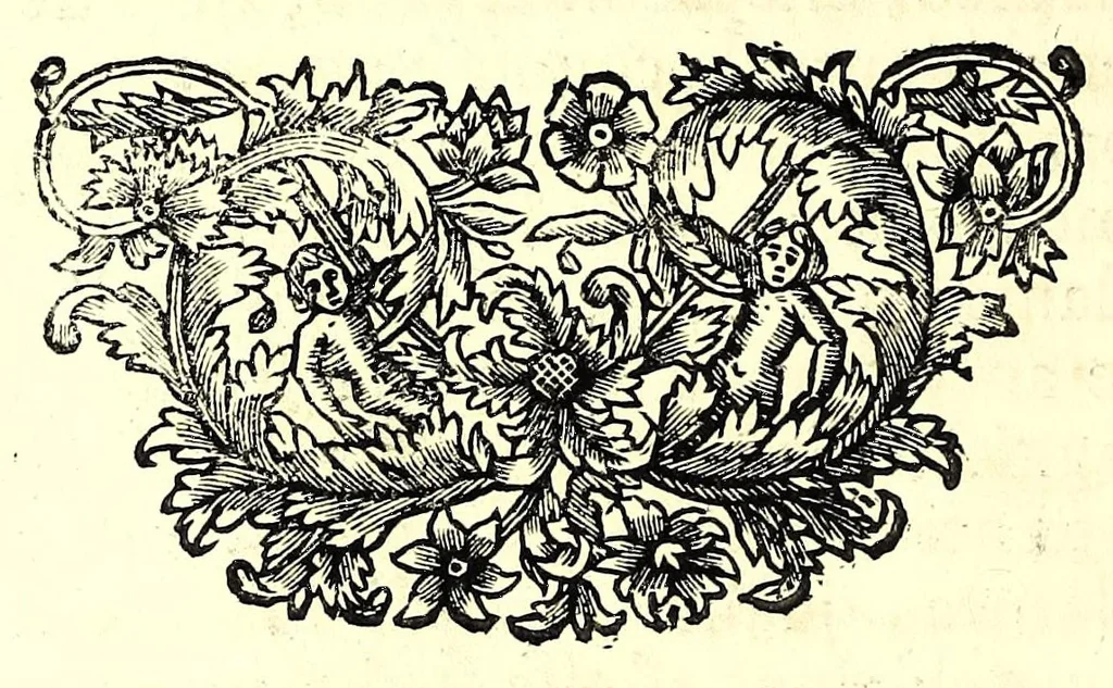 An illustration from L'arte del cavallo, 1696, leaf 24
