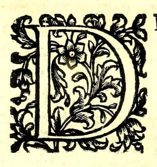 An illustration from L'arte del cavallo, 1696, leaf 25