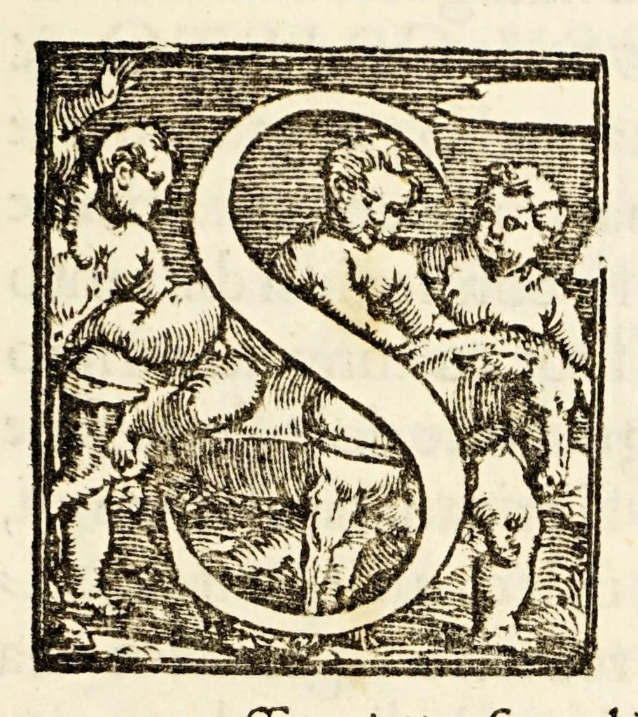 An illustration from L'arte del nauegar, : in laqual si contengono le regole, dechiarationi, secreti, & auisi, alla bona nauegation necessarij., 1554, leaf 7