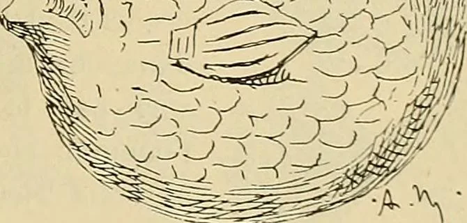 An illustration from L'arte nell'industria : lavori di legno e pastiglia, lavori di metallo, lavori di pietra, marmo, alabastro, ceramica, musaico, vetro, lavori di osso e avorio, lavori tessili, carte da parati e cuoi decorati, ricami, pizzi, cartelloni, stampe, ecc., 1907, leaf 136