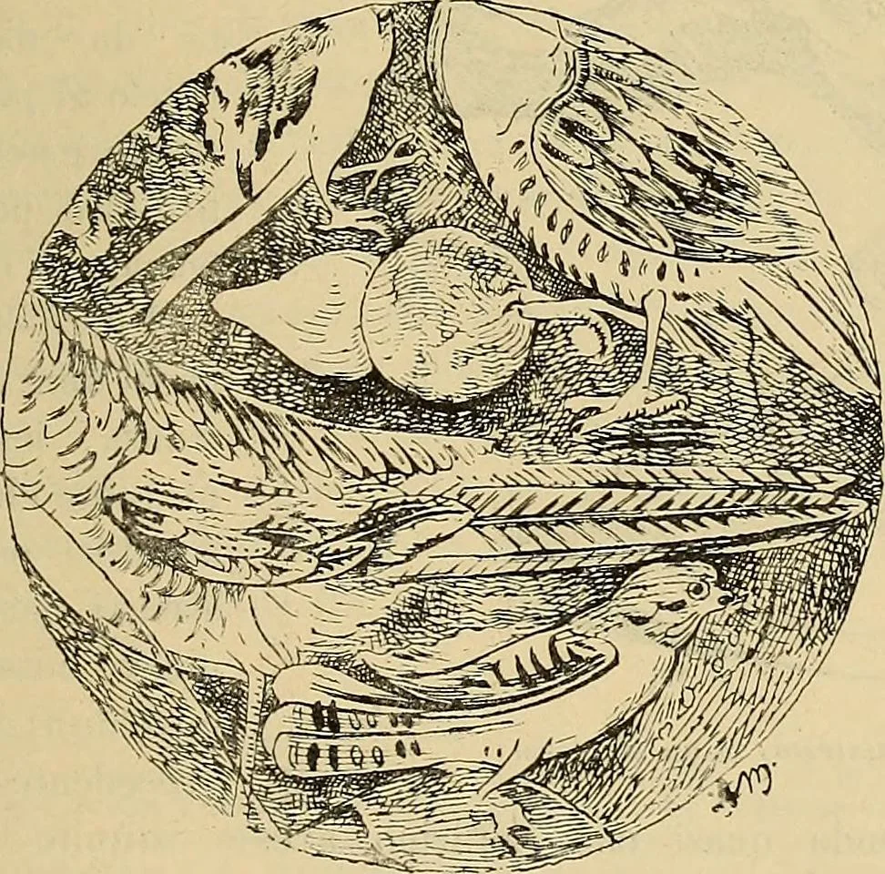 An illustration from L'arte nell'industria : lavori di legno e pastiglia, lavori di metallo, lavori di pietra, marmo, alabastro, ceramica, musaico, vetro, lavori di osso e avorio, lavori tessili, carte da parati e cuoi decorati, ricami, pizzi, cartelloni, stampe, ecc., 1907, leaf 156