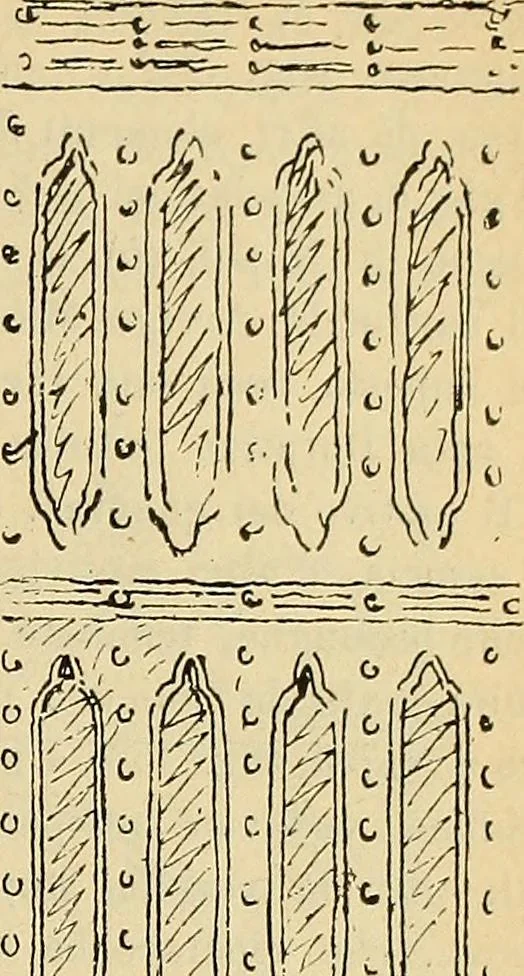 An illustration from L'arte nell'industria : lavori di legno e pastiglia, lavori di metallo, lavori di pietra, marmo, alabastro, ceramica, musaico, vetro, lavori di osso e avorio, lavori tessili, carte da parati e cuoi decorati, ricami, pizzi, cartelloni, stampe, ecc., 1907, leaf 404