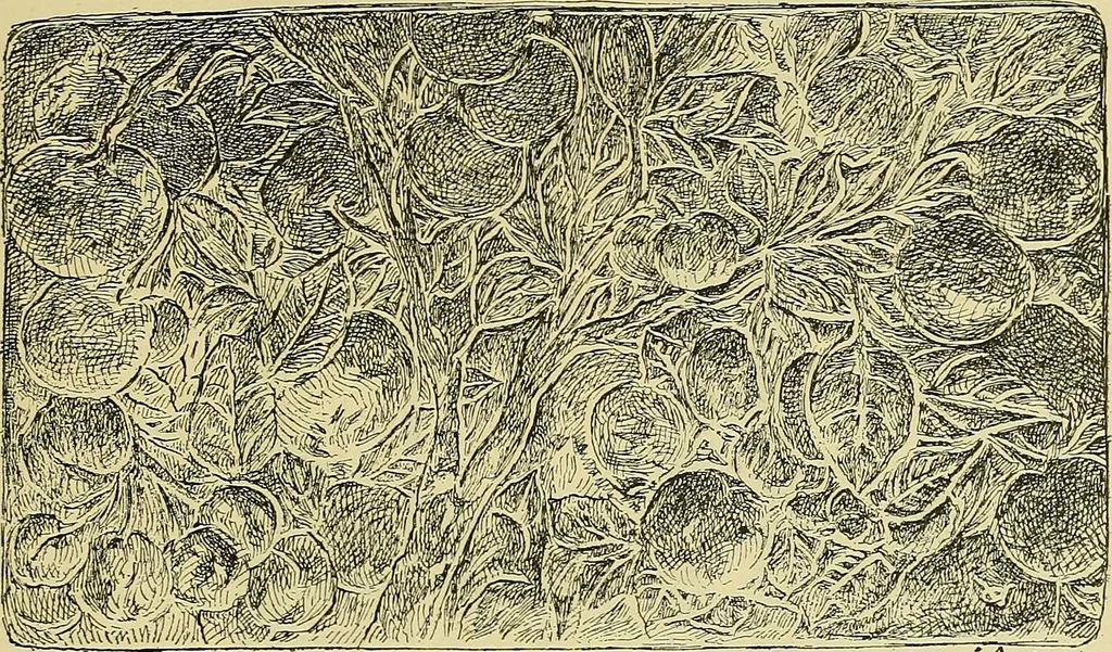 An illustration from L'arte nell'industria : lavori di legno e pastiglia, lavori di metallo, lavori di pietra, marmo, alabastro, ceramica, musaico, vetro, lavori di osso e avorio, lavori tessili, carte da parati e cuoi decorati, ricami, pizzi, cartelloni, stampe, ecc., 1907, leaf 534