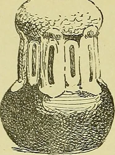 An illustration from L'arte nell'industria : lavori di legno e pastiglia, lavori di metallo, lavori di pietra, marmo, alabastro, ceramica, musaico, vetro, lavori di osso e avorio, lavori tessili, carte da parati e cuoi decorati, ricami, pizzi, cartelloni, stampe, ecc., 1907, leaf 565