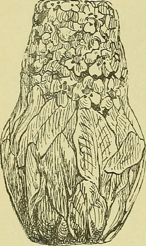 An illustration from L'arte nell'industria : lavori di legno e pastiglia, lavori di metallo, lavori di pietra, marmo, alabastro, ceramica, musaico, vetro, lavori di osso e avorio, lavori tessili, carte da parati e cuoi decorati, ricami, pizzi, cartelloni, stampe, ecc., 1907, leaf 565