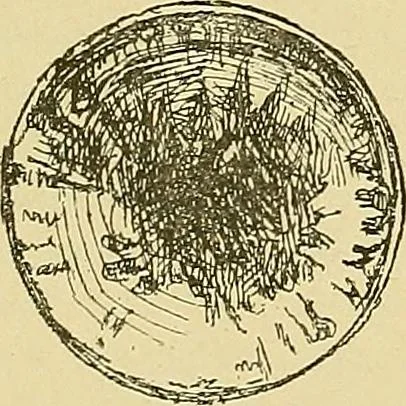 An illustration from L'arte nell'industria : lavori di legno e pastiglia, lavori di metallo, lavori di pietra, marmo, alabastro, ceramica, musaico, vetro, lavori di osso e avorio, lavori tessili, carte da parati e cuoi decorati, ricami, pizzi, cartelloni, stampe, ecc., 1907, leaf 574
