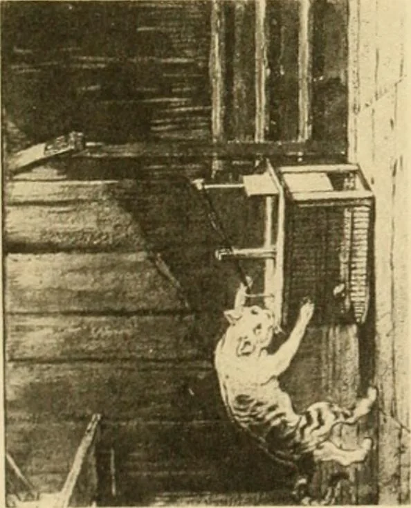 An illustration from L'Art et les moeurs en France, 1909, leaf 94