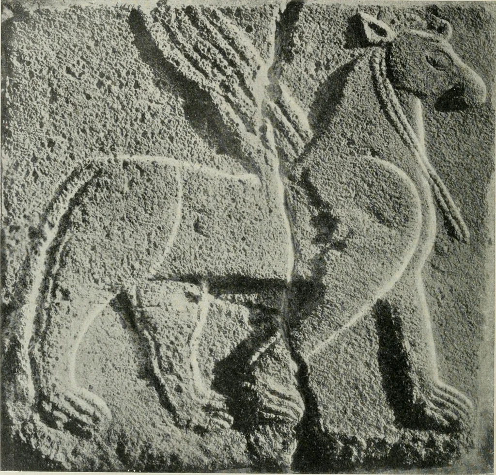 An illustration from L'art Hittite, 1922, leaf 43