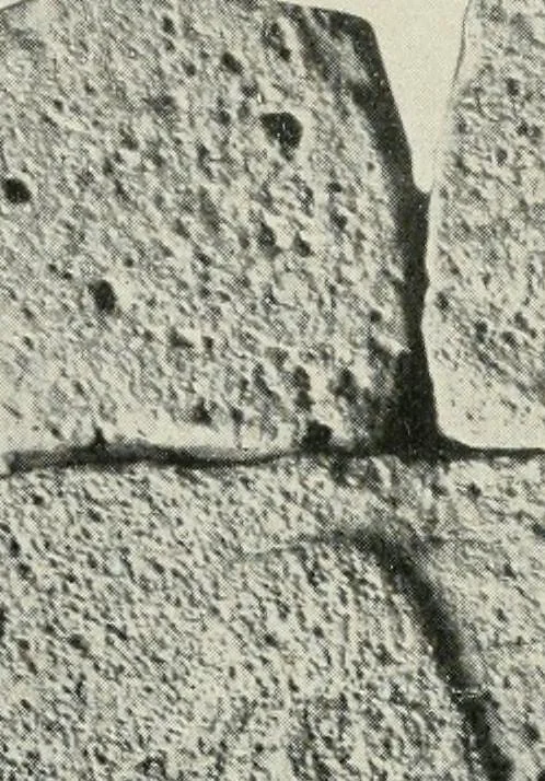An illustration from L'art Hittite, 1922, leaf 59