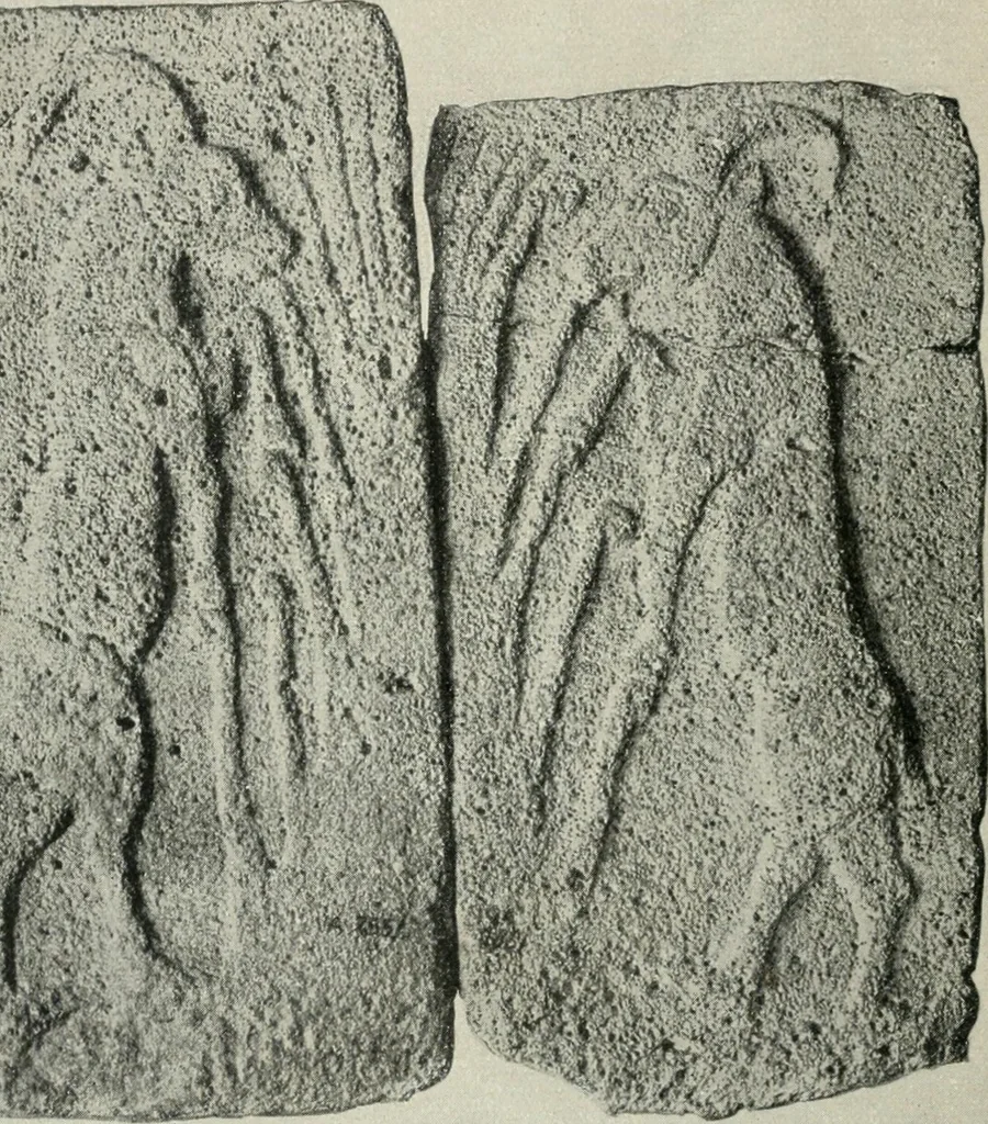 An illustration from L'art Hittite, 1922, leaf 65