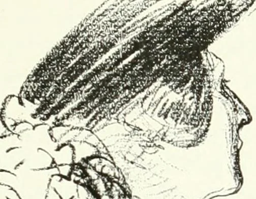 An illustration from L'art à la Taverne de Paris. Chéret, Abel Faivre, Grün, Léandre, Métivet, Steinlen, Willette, artistes peintres. Emile Robert, ferronnier d'art. Jacques Hermant, architecte. Photogravures de Ducourtioux et Huillard, d'après les clichés de Simonet, 1906, leaf 89