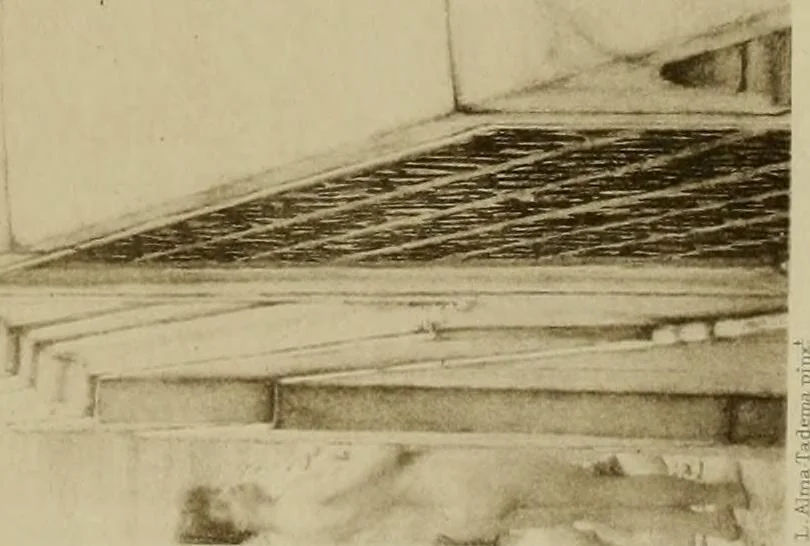An illustration from L'Art a l'Exposition universelle de 1900, 1900, leaf 286