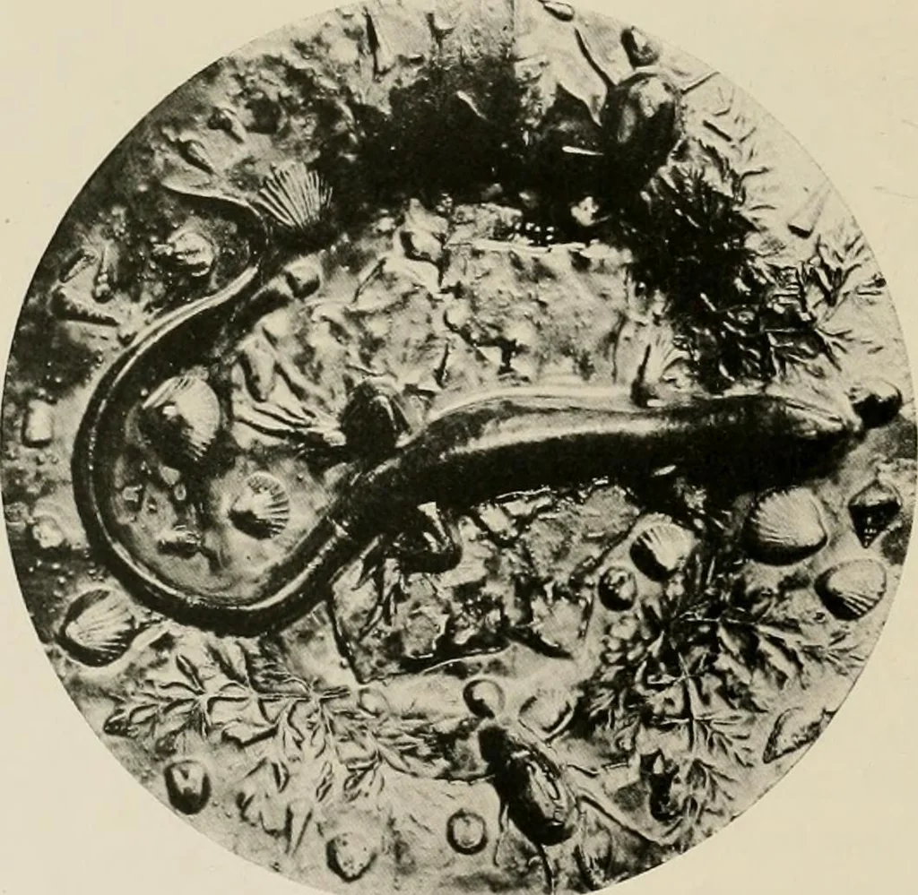 An illustration from L'Art a l'Exposition universelle de 1900, 1900, leaf 489