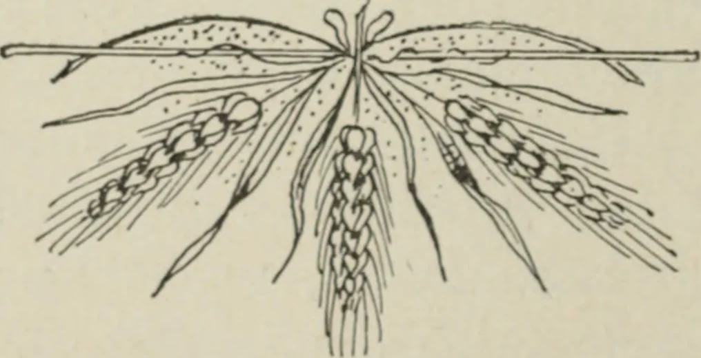 An illustration from L'Art ornamental, 1916, leaf 109