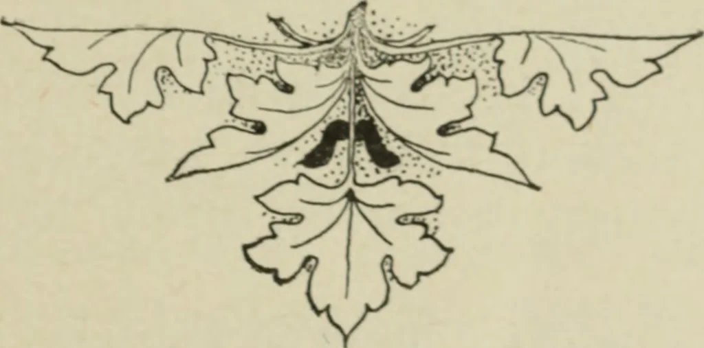 An illustration from L'Art ornamental, 1916, leaf 152