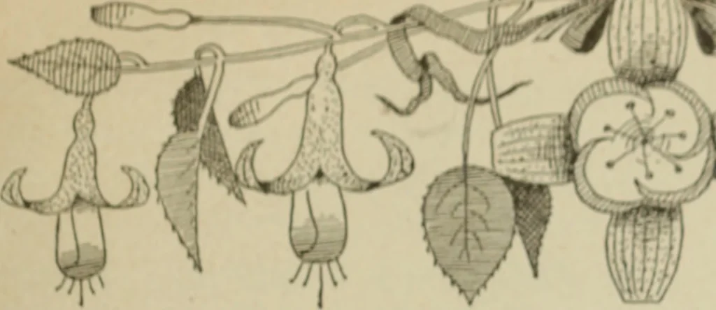 An illustration from L'Art ornamental, 1916, leaf 212