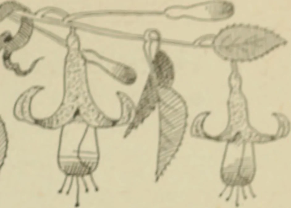 An illustration from L'Art ornamental, 1916, leaf 212