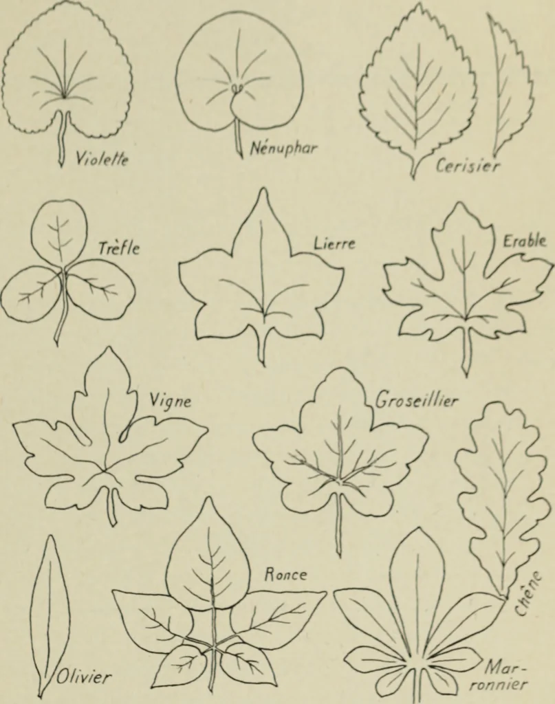 An illustration from L'Art ornamental, 1916, leaf 30