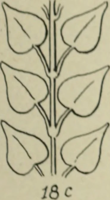An illustration from L'Art ornamental, 1916, leaf 32