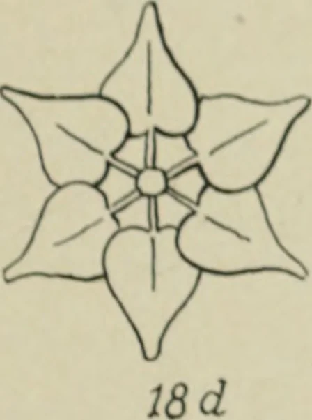 An illustration from L'Art ornamental, 1916, leaf 32